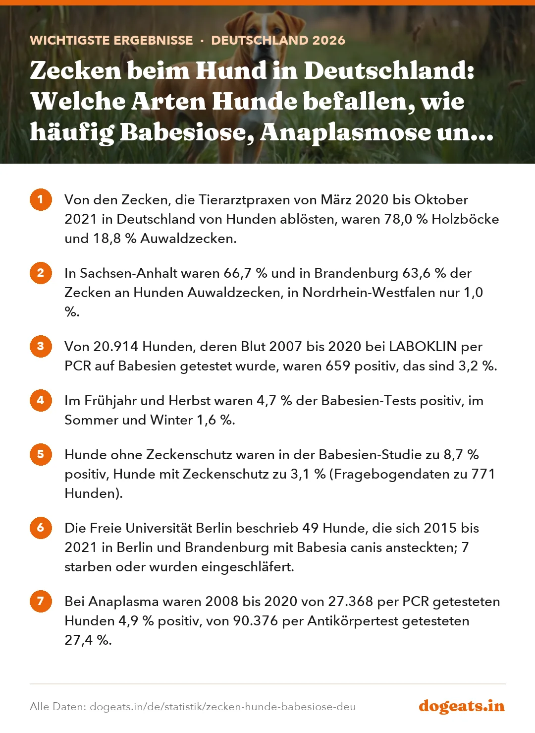 Wichtigste Ergebnisse: Zecken beim Hund in Deutschland: Welche Arten Hunde befallen, wie häufig Babesiose, Anaplasmose und Borreliose sind und was Studien über Auwaldzecke und Hyalomma zeigen