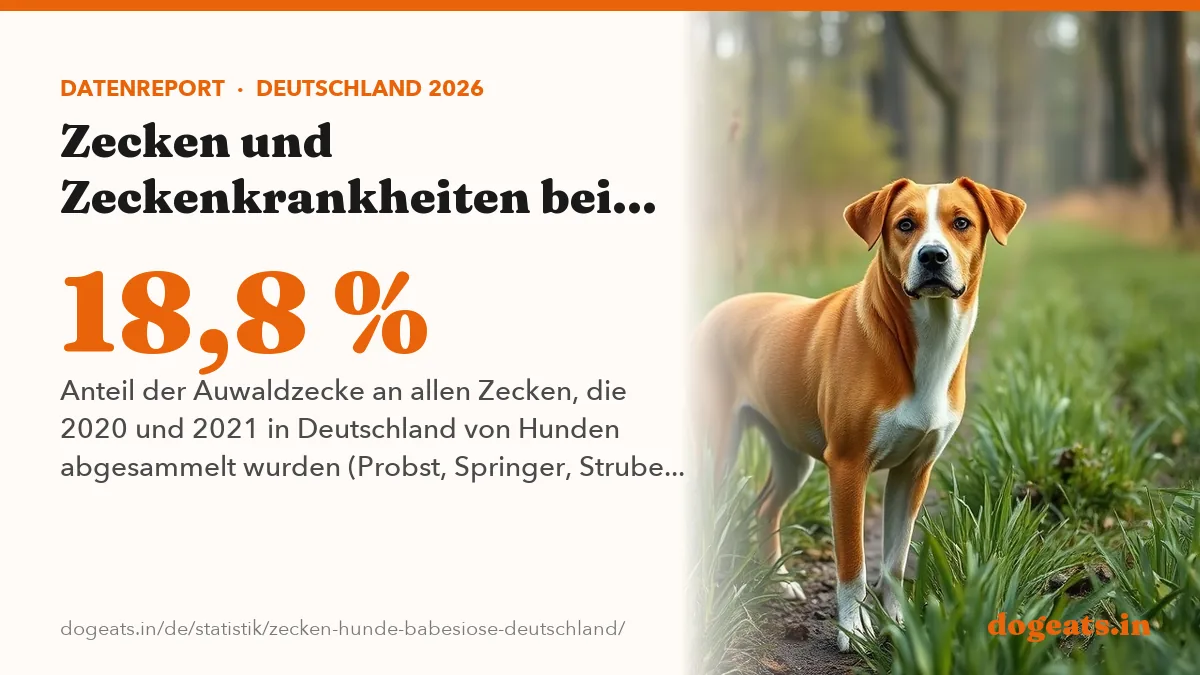 18,8 % Anteil der Auwaldzecke an allen Zecken, die 2020 und 2021 in Deutschland von Hunden abgesammelt wurden (Probst, Springer, Strube 2023)
