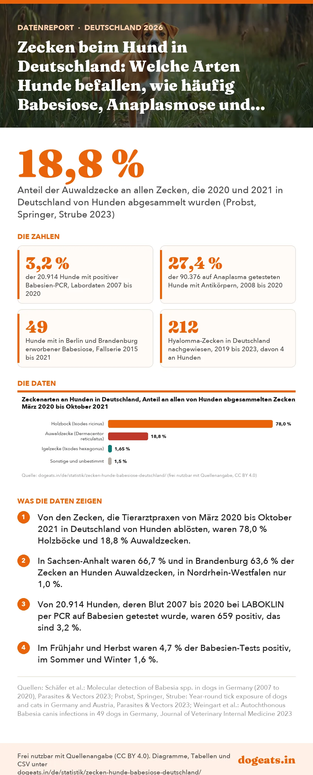 Infografik: Zecken beim Hund in Deutschland: Welche Arten Hunde befallen, wie häufig Babesiose, Anaplasmose und Borreliose sind und was Studien über Auwaldzecke und Hyalomma zeigen