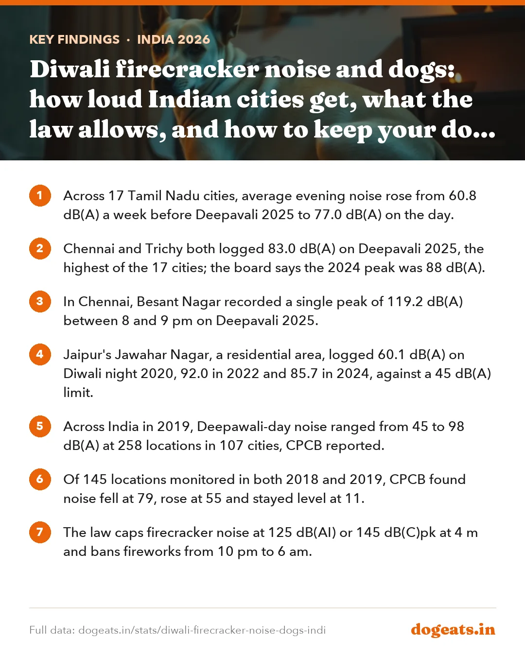 Key findings: Diwali firecracker noise and dogs: how loud Indian cities get, what the law allows, and how to keep your dog calm