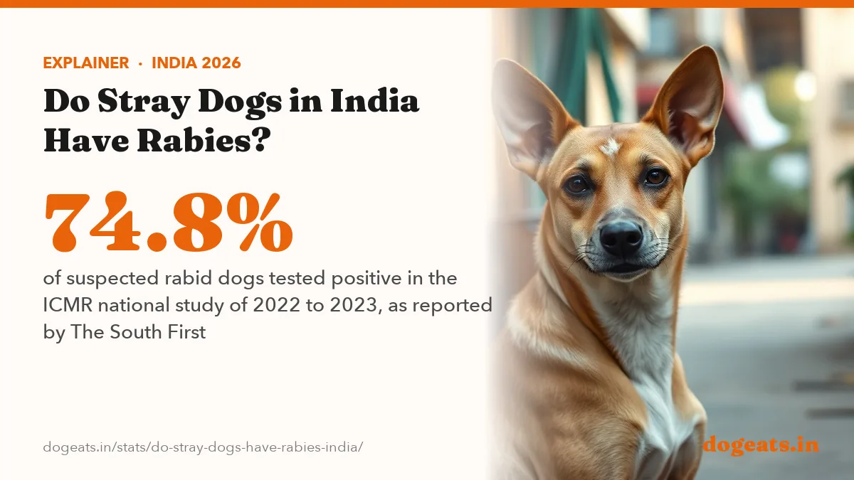 74.8% of suspected rabid dogs tested positive in the ICMR national study of 2022 to 2023, as reported by The South First