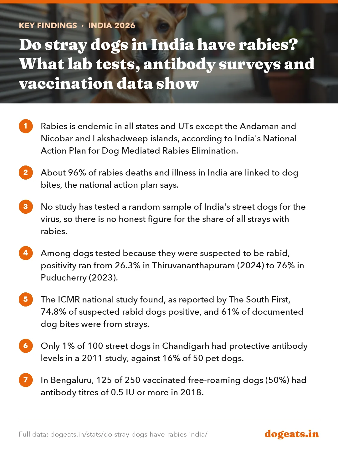 Key findings: Do stray dogs in India have rabies? What lab tests, antibody surveys and vaccination data show