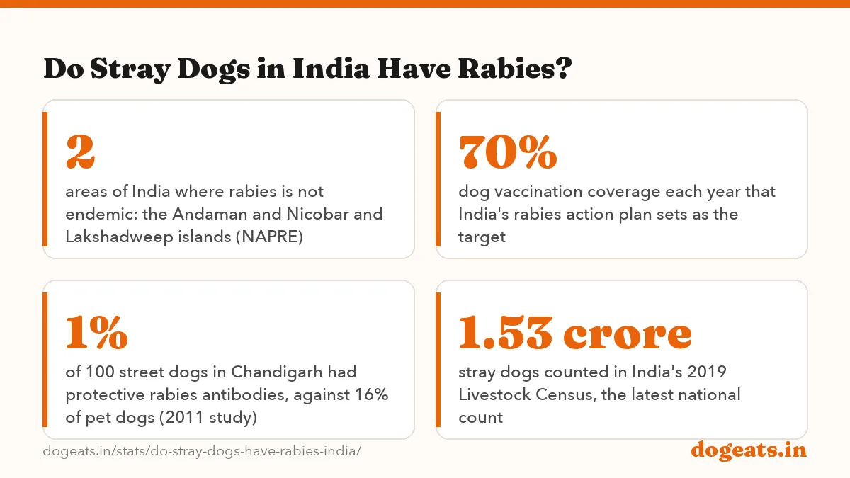 Do Stray Dogs in India Have Rabies?: the numbers