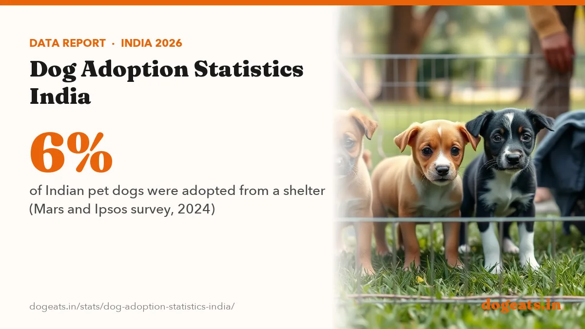 6% of Indian pet dogs were adopted from a shelter (Mars and Ipsos survey, 2024)