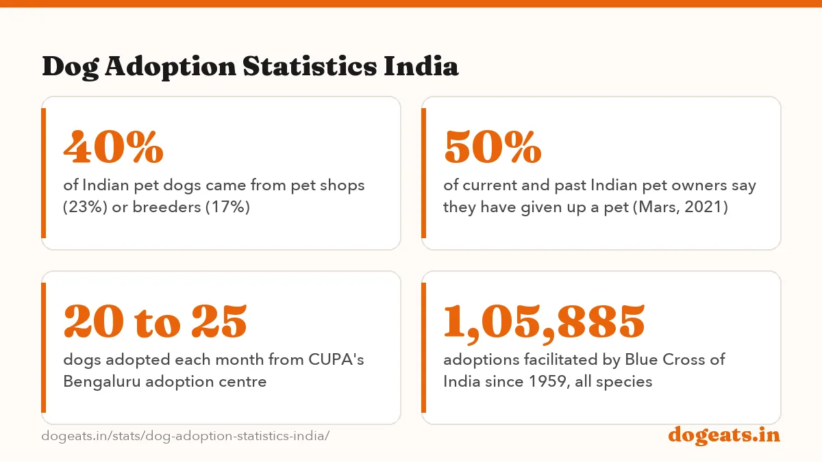 Dog Adoption Statistics India: the numbers