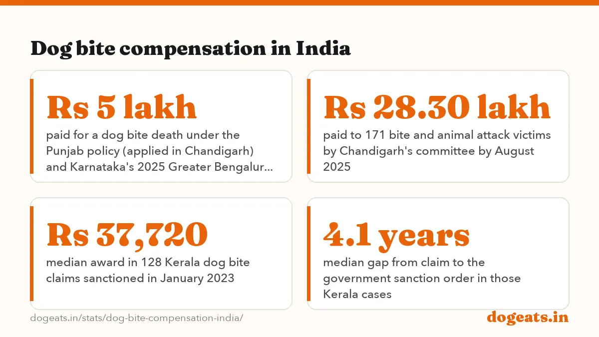 Dog bite compensation in India: the numbers