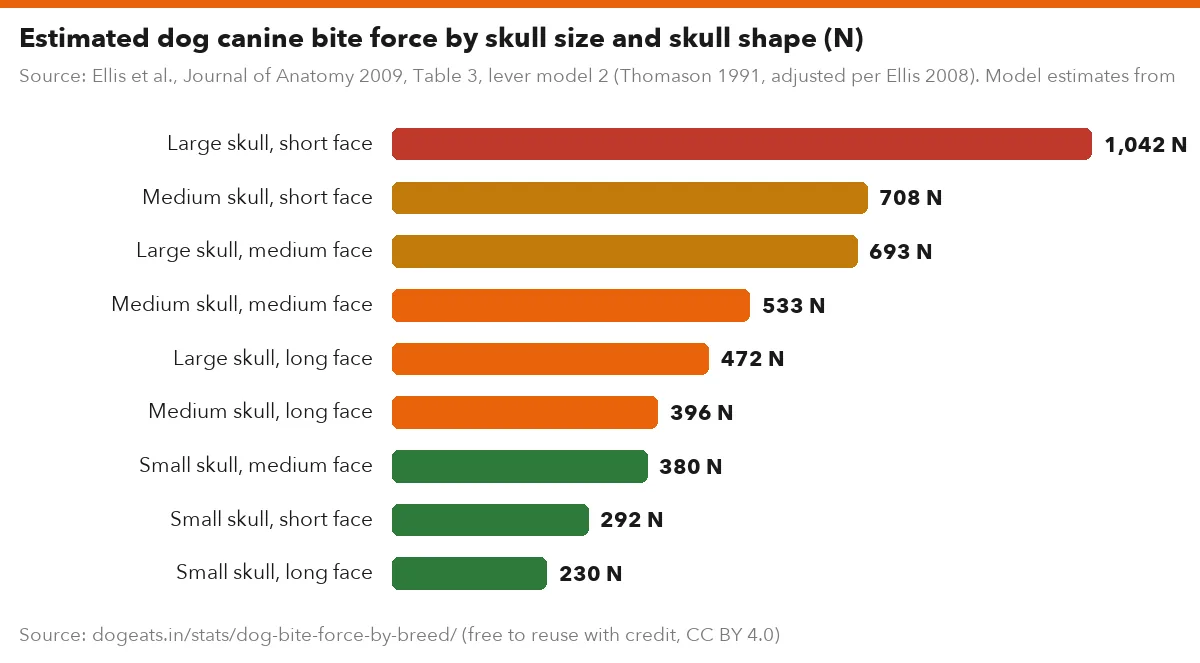 Estimated dog canine bite force by skull size and skull shape (N)