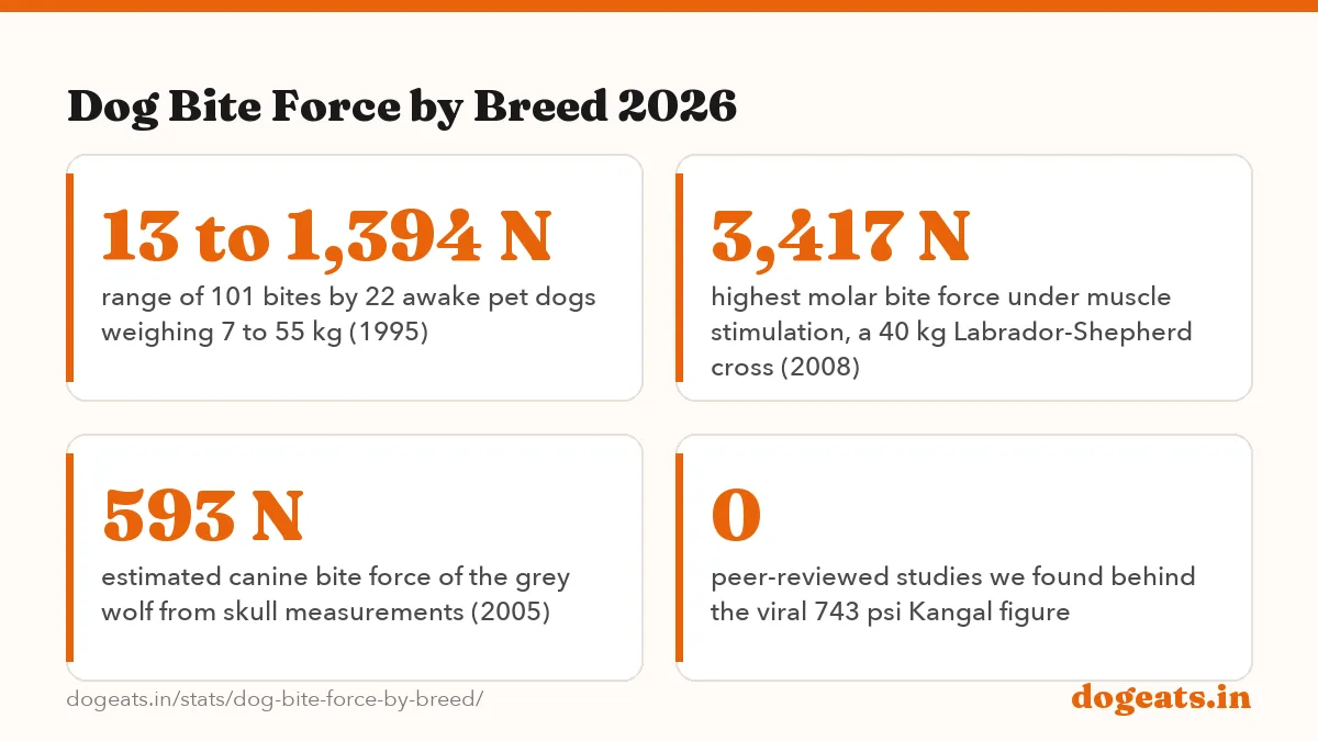 Dog Bite Force by Breed 2026: 256 N mean bite force of 22 awake pet dogs on a sensor (about 26 kgf