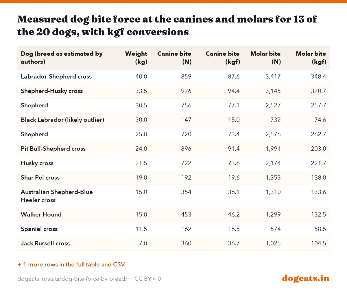 Measured dog bite force at the canines and molars for 13 of the 20 dogs, with kgf conversions