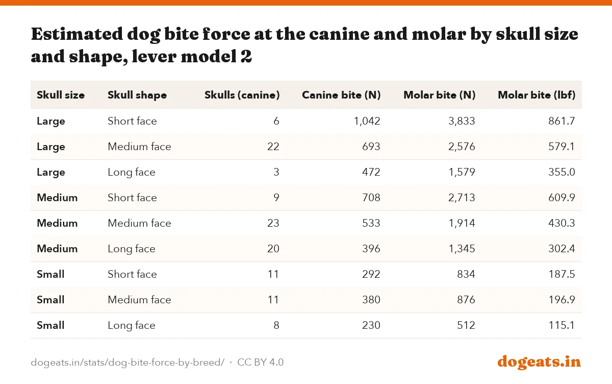 Estimated dog bite force at the canine and molar by skull size and shape, lever model 2