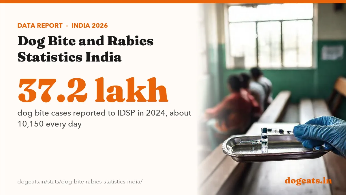 37.2 lakh dog bite cases reported to IDSP in 2024, about 10,150 every day