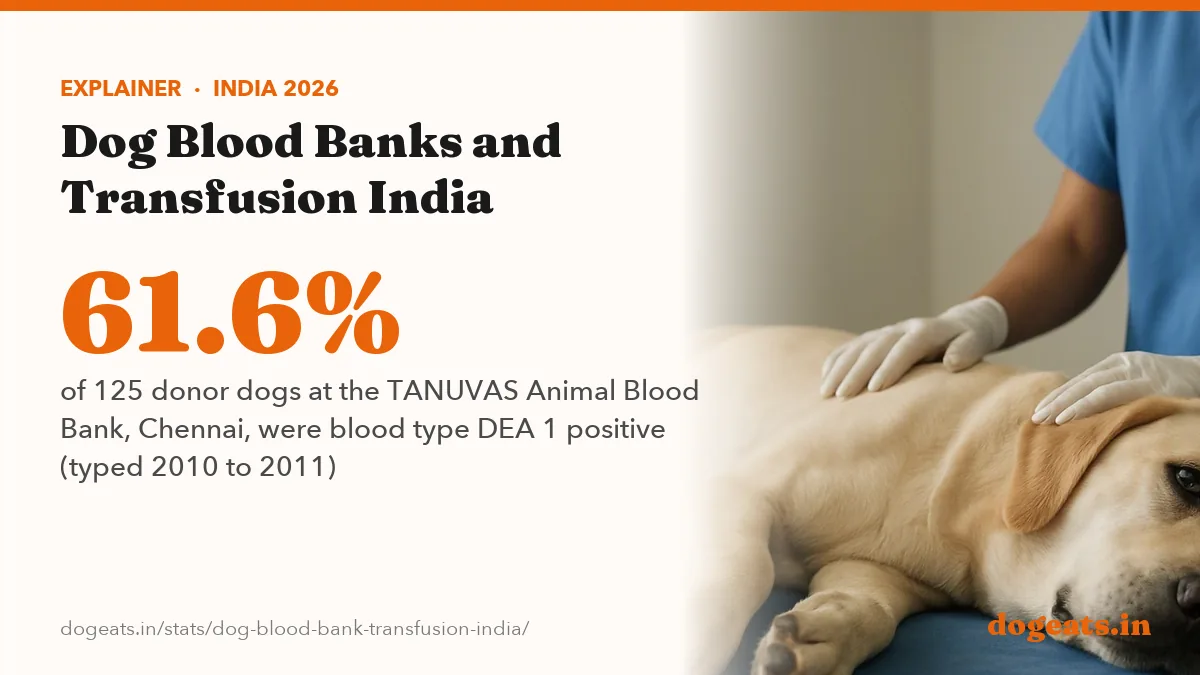 61.6% of 125 donor dogs at the TANUVAS Animal Blood Bank, Chennai, were blood type DEA 1 positive (typed 2010 to 2011)