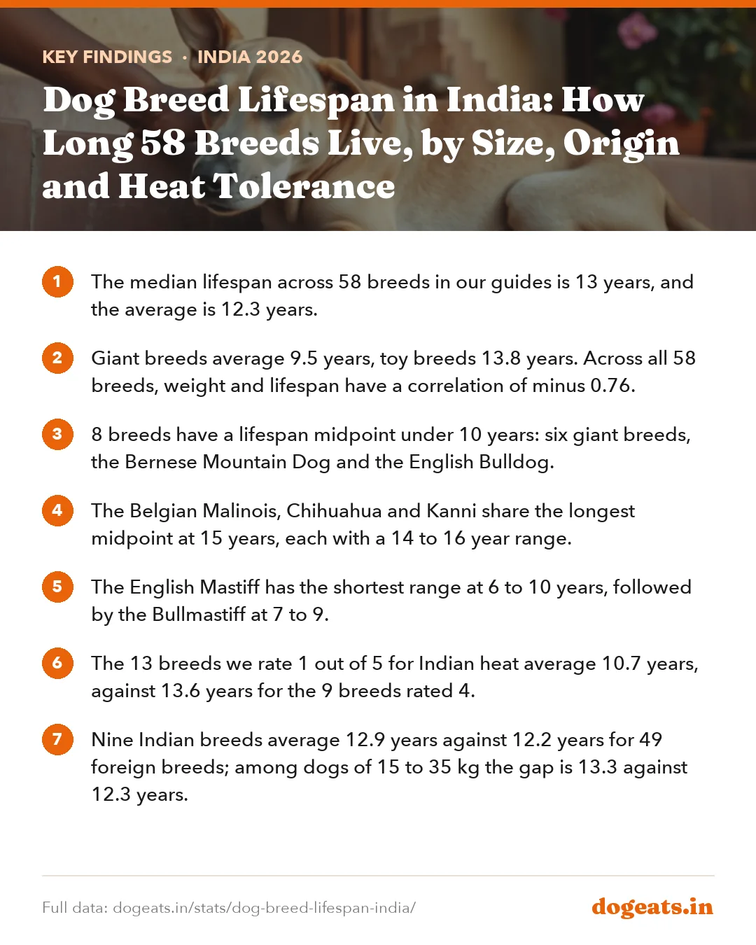 Key findings: Dog Breed Lifespan in India: How Long 58 Breeds Live, by Size, Origin and Heat Tolerance