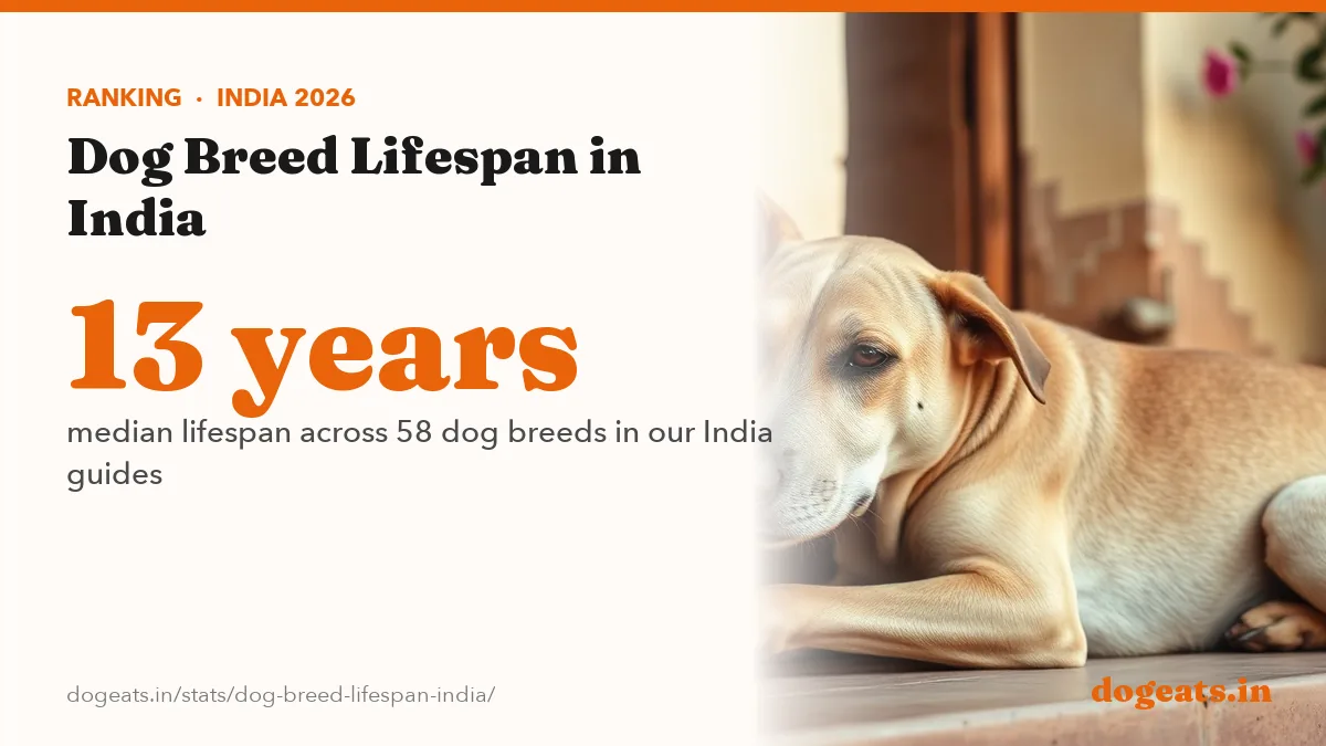 13 years median lifespan across 58 dog breeds in our India guides