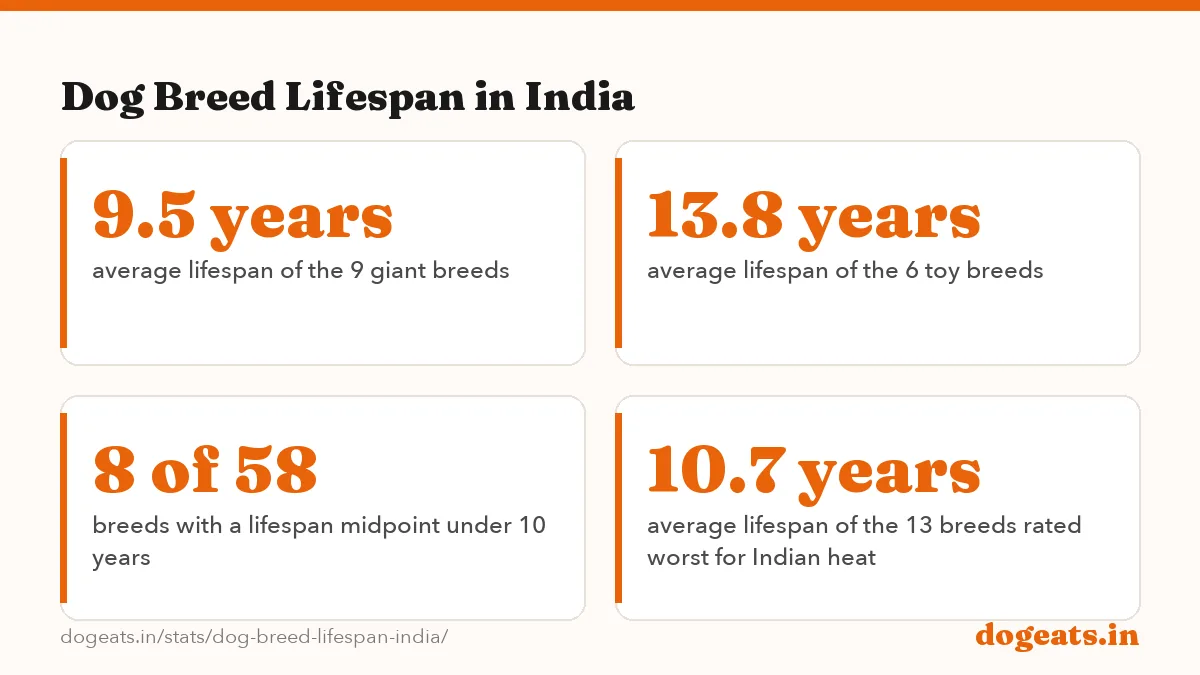 Dog Breed Lifespan in India: the numbers