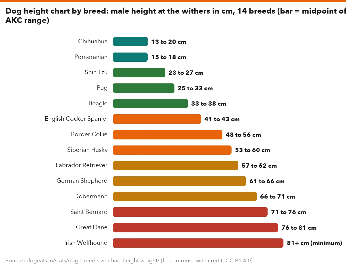 Dog height chart by breed: male height at the withers in cm, 14 breeds (bar = midpoint of the AKC range)