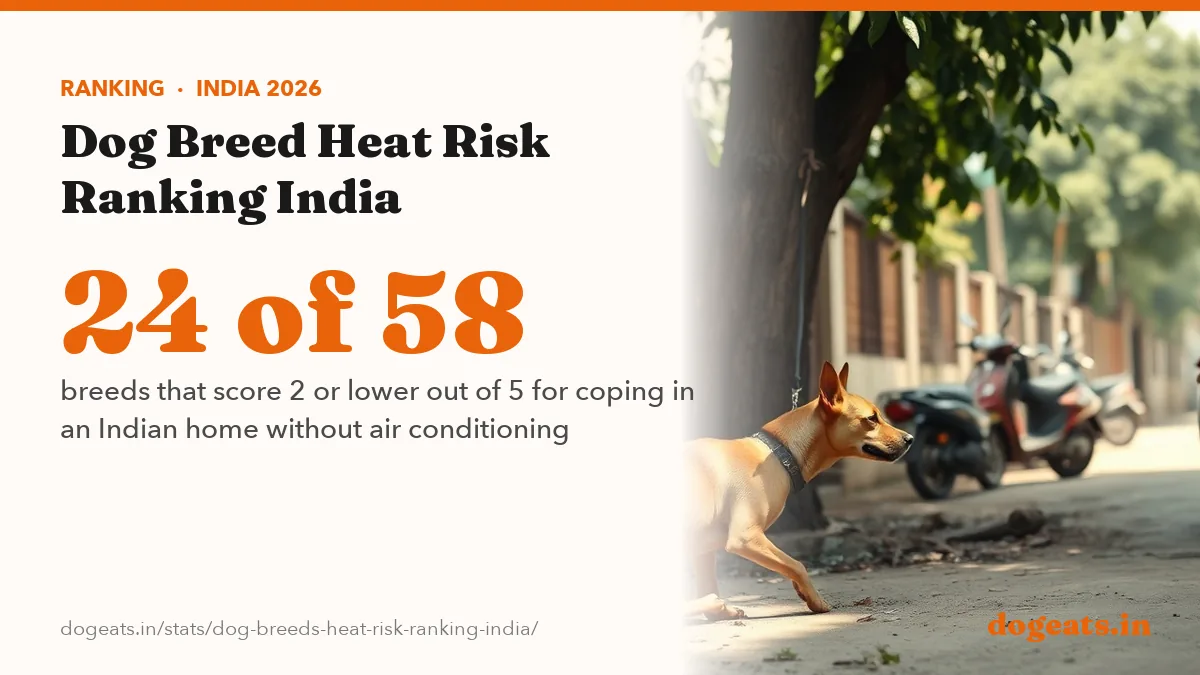 24 of 58 breeds that score 2 or lower out of 5 for coping in an Indian home without air conditioning