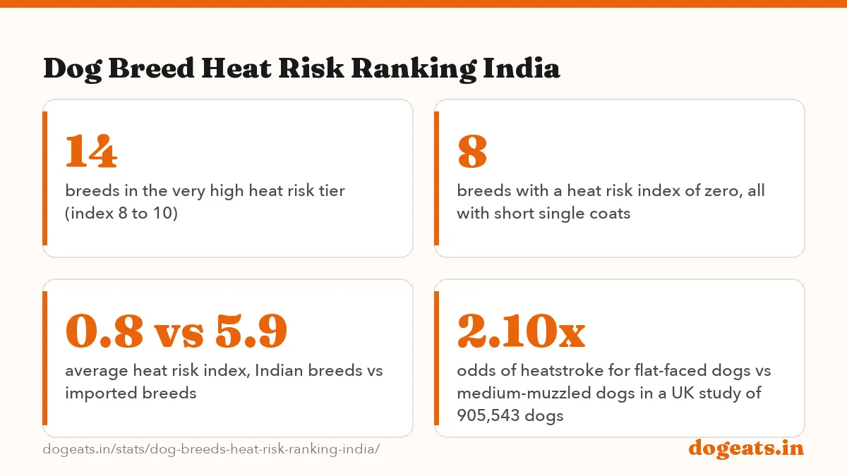 Dog Breed Heat Risk Ranking India: the numbers