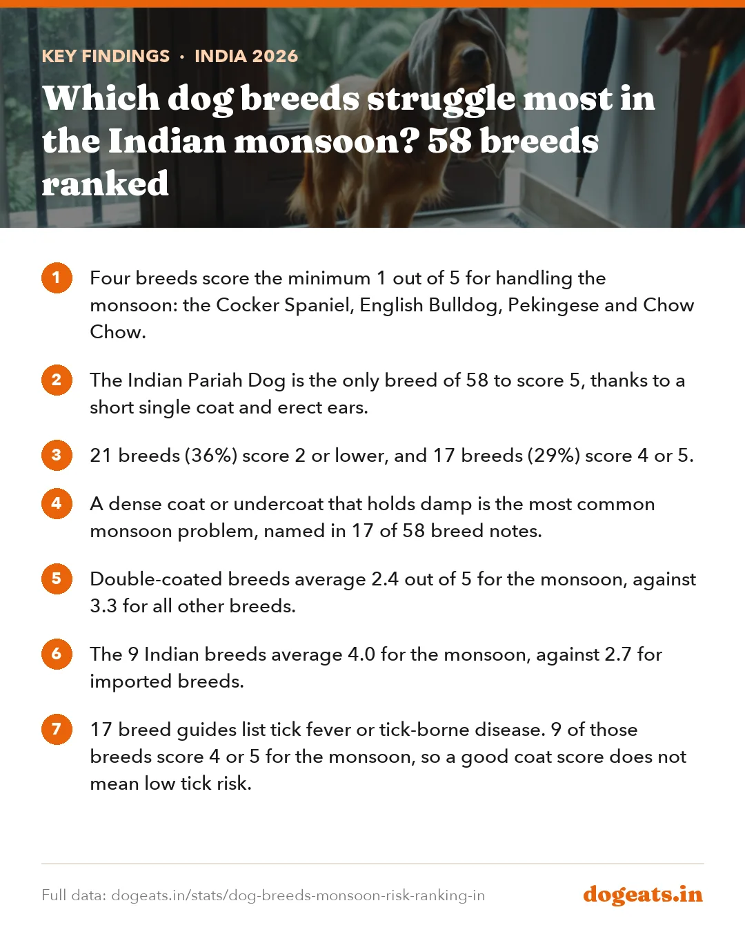 Key findings: Which dog breeds struggle most in the Indian monsoon? 58 breeds ranked