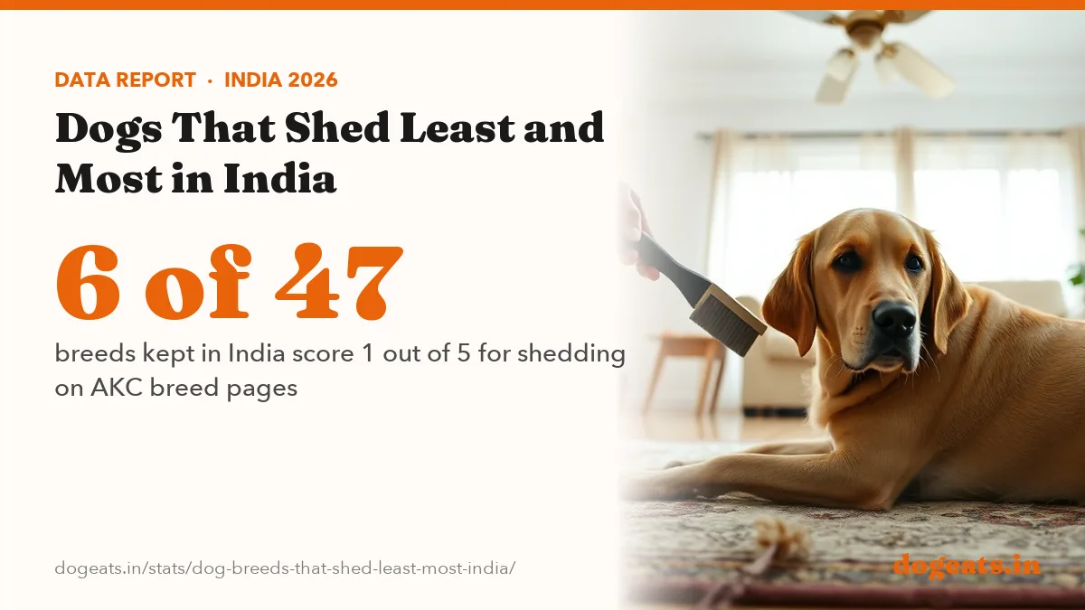 6 of 47 breeds kept in India score 1 out of 5 for shedding on AKC breed pages