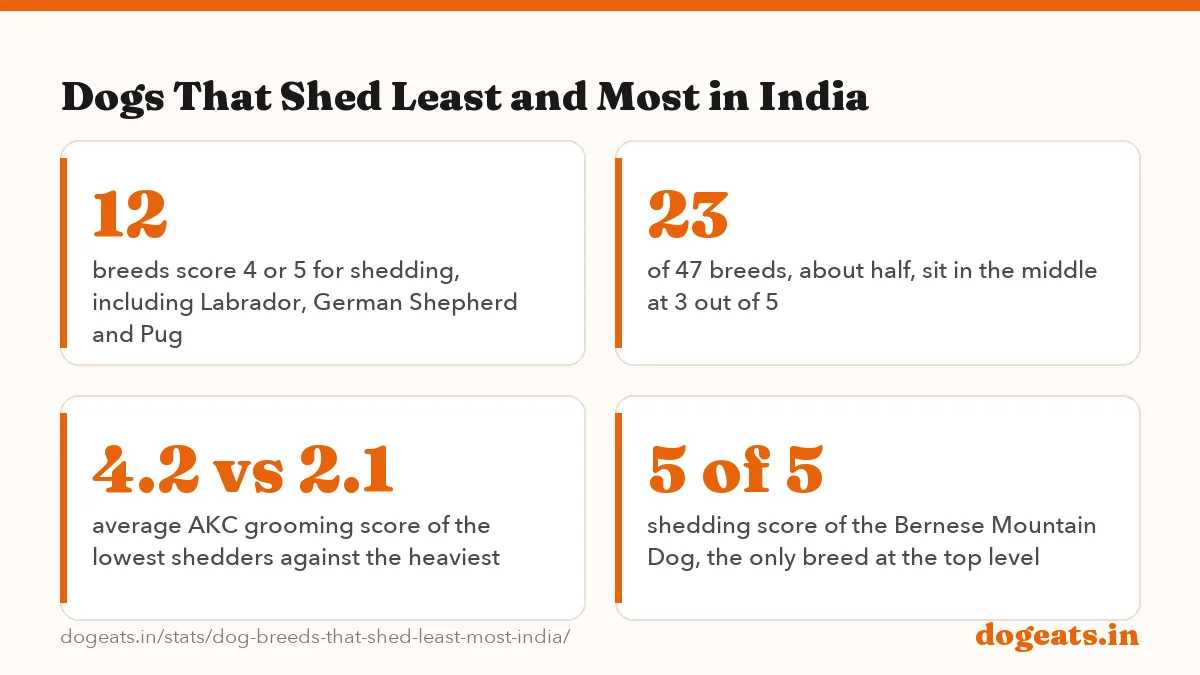Dogs That Shed Least and Most in India: 6 of 47 breeds kept in India score 1 out of 5 for shedding