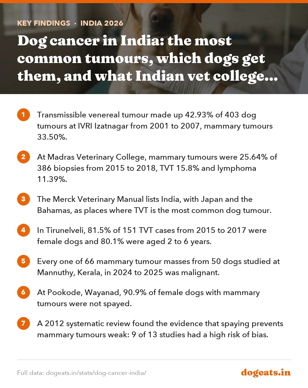 Key findings: Dog cancer in India: the most common tumours, which dogs get them, and what Indian vet college studies show