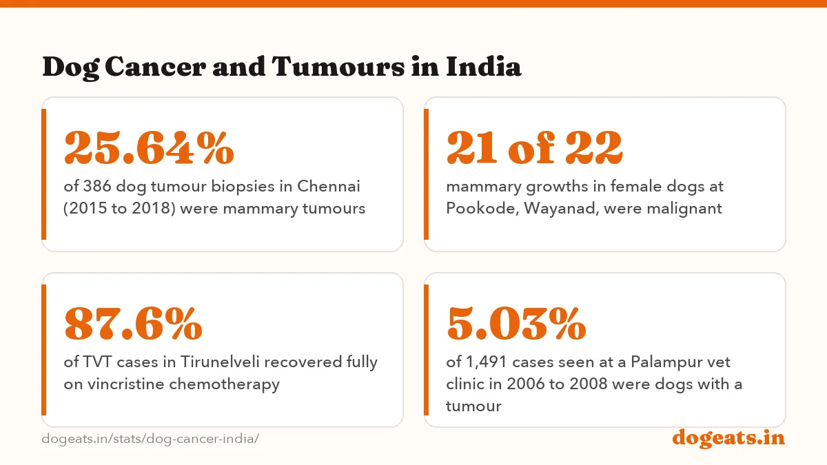 Dog Cancer and Tumours in India: 42.93% of 403 dog tumours at IVRI Izatnagar (2001 to 2007) were transmissible venereal tumours, the