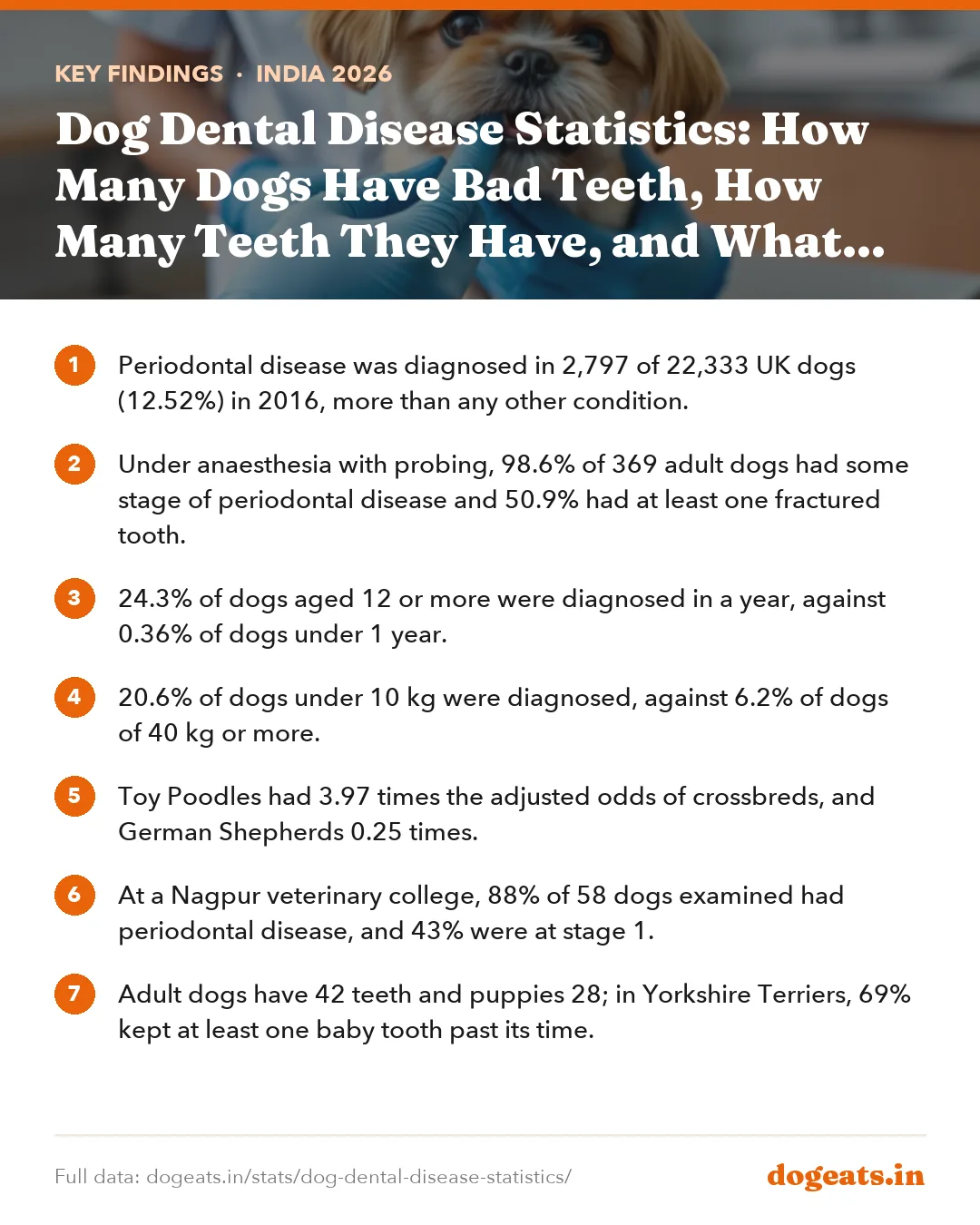 Key findings: Dog Dental Disease Statistics: How Many Dogs Have Bad Teeth, How Many Teeth They Have, and What Cleaning Costs in India