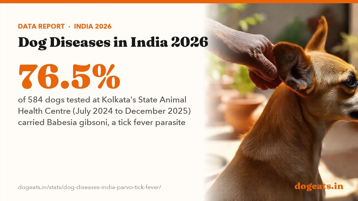 76.5% of 584 dogs tested at Kolkata's State Animal Health Centre (July 2024 to December 2025) carried Babesia gibsoni, a tick fever parasite