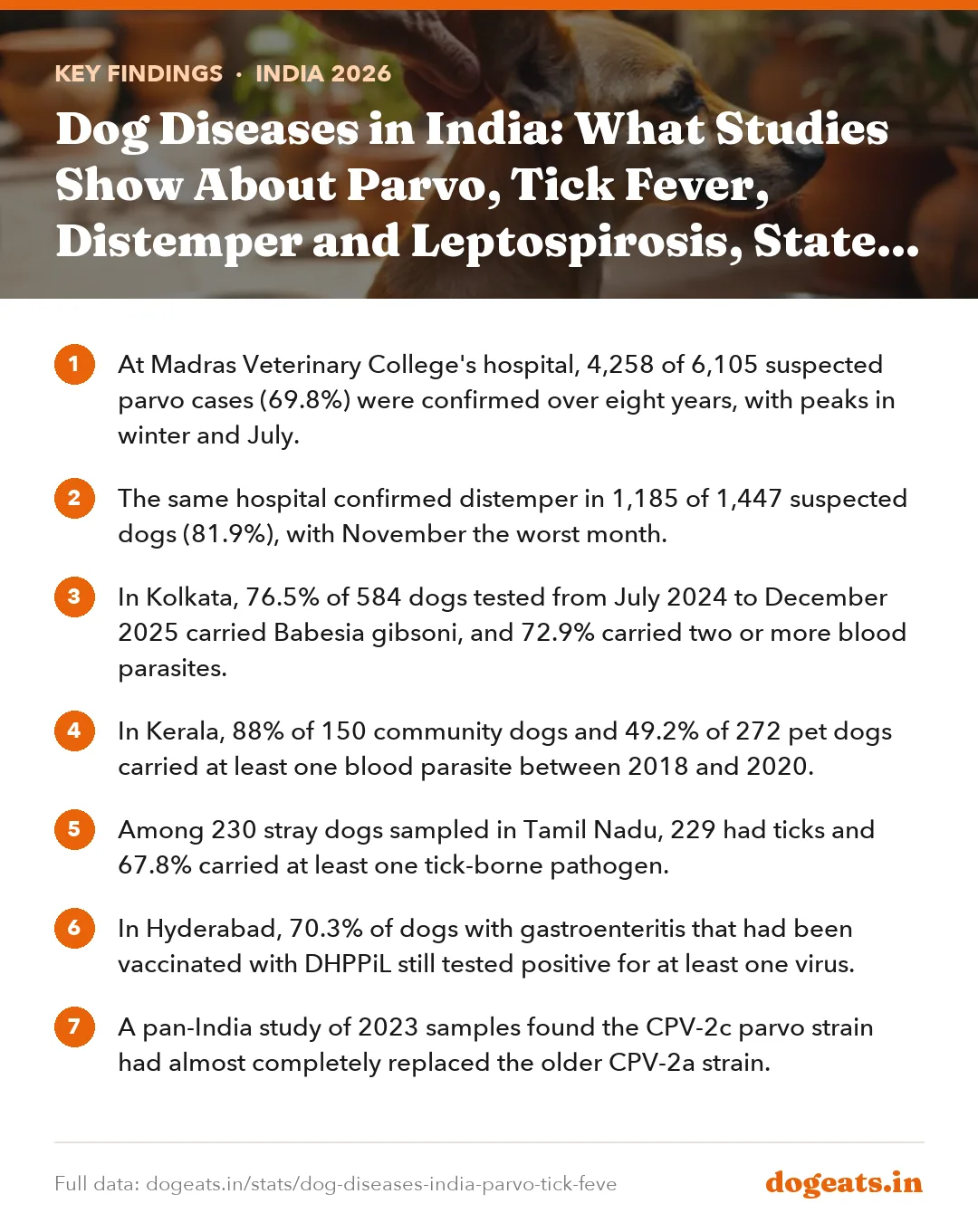 Key findings: Dog Diseases in India: What Studies Show About Parvo, Tick Fever, Distemper and Leptospirosis, State by State