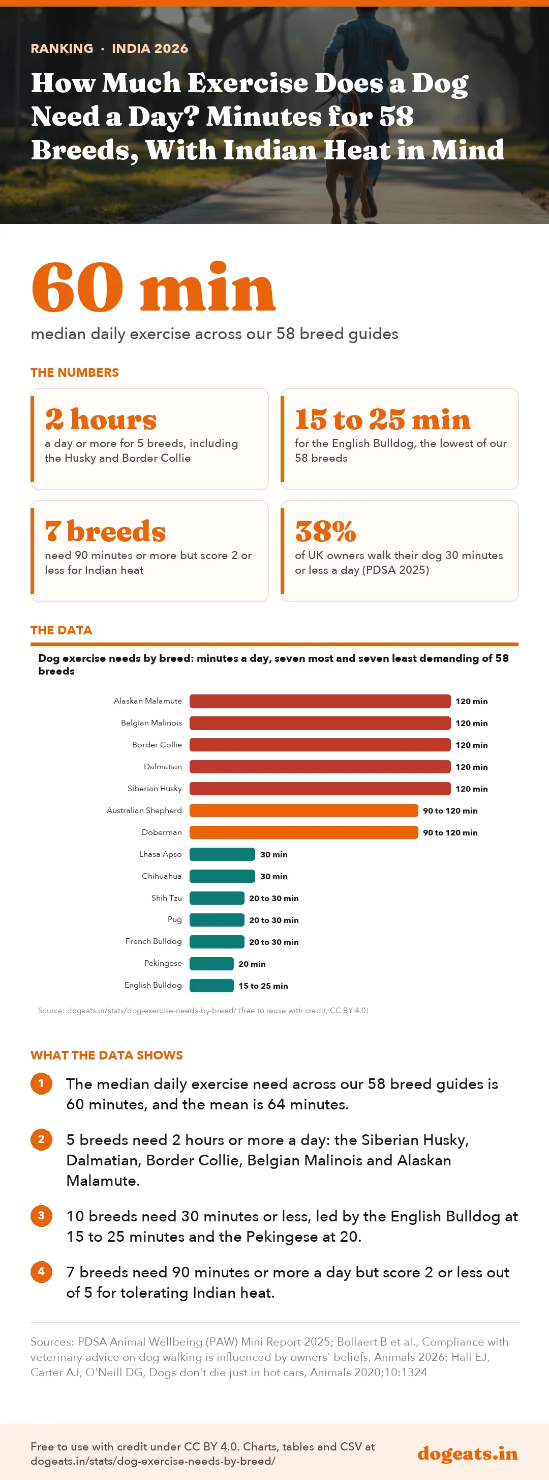 Infographic: How Much Exercise Does a Dog Need a Day? Minutes for 58 Breeds, With Indian Heat in Mind