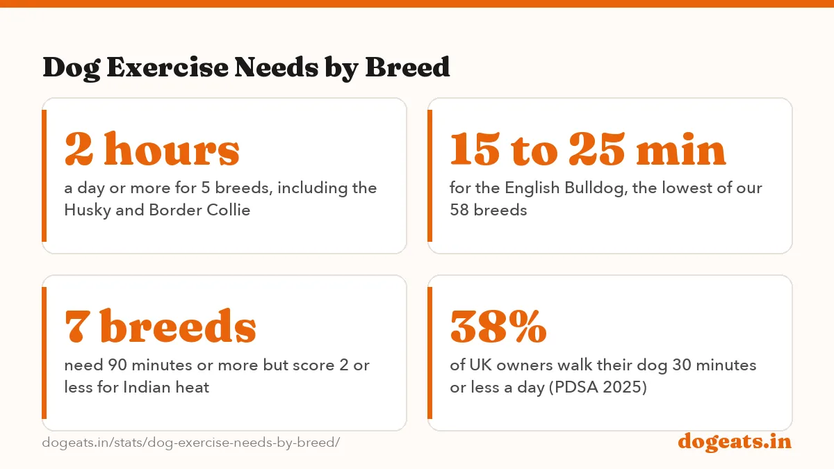 Dog Exercise Needs by Breed: 60 min median daily exercise across our 58 breed guides