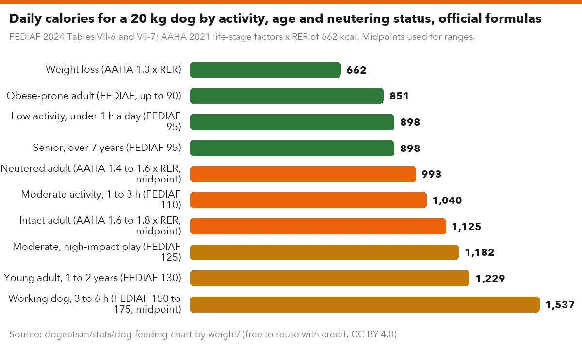 Daily calories for a 20 kg dog by activity, age and neutering status, official formulas