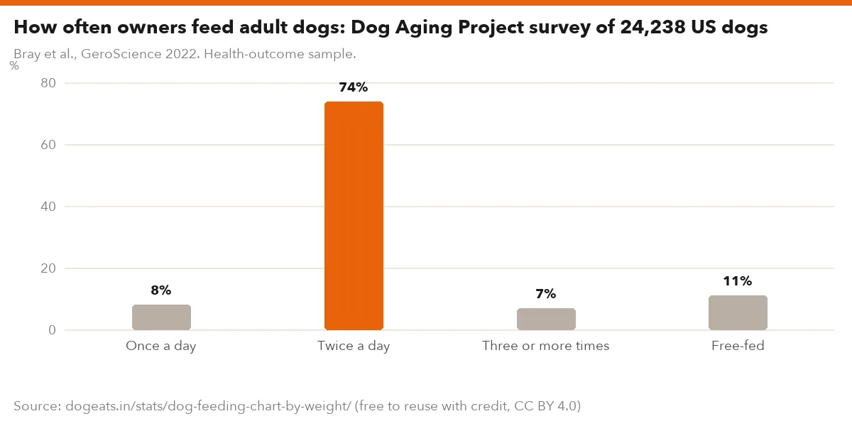 How often owners feed adult dogs: Dog Aging Project survey of 24,238 US dogs