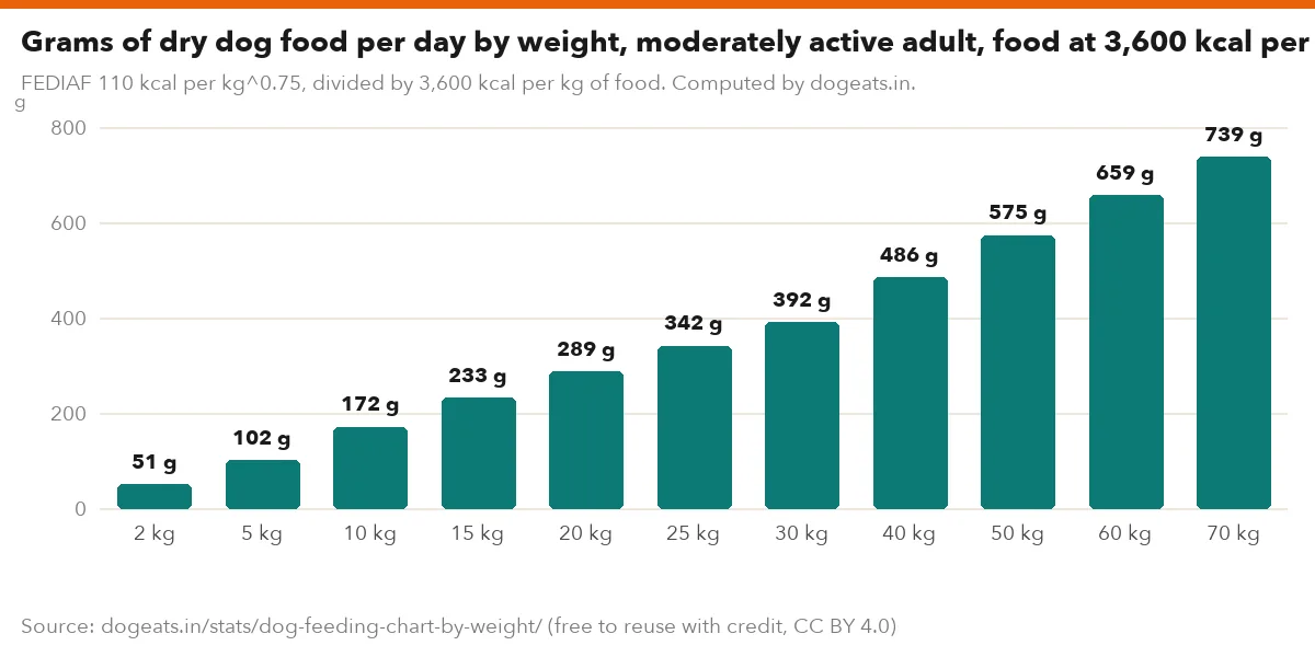 Grams of dry dog food per day by weight, moderately active adult, food at 3,600 kcal per kg