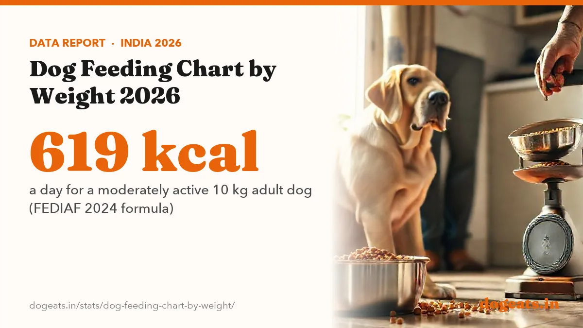 619 kcal a day for a moderately active 10 kg adult dog (FEDIAF 2024 formula)