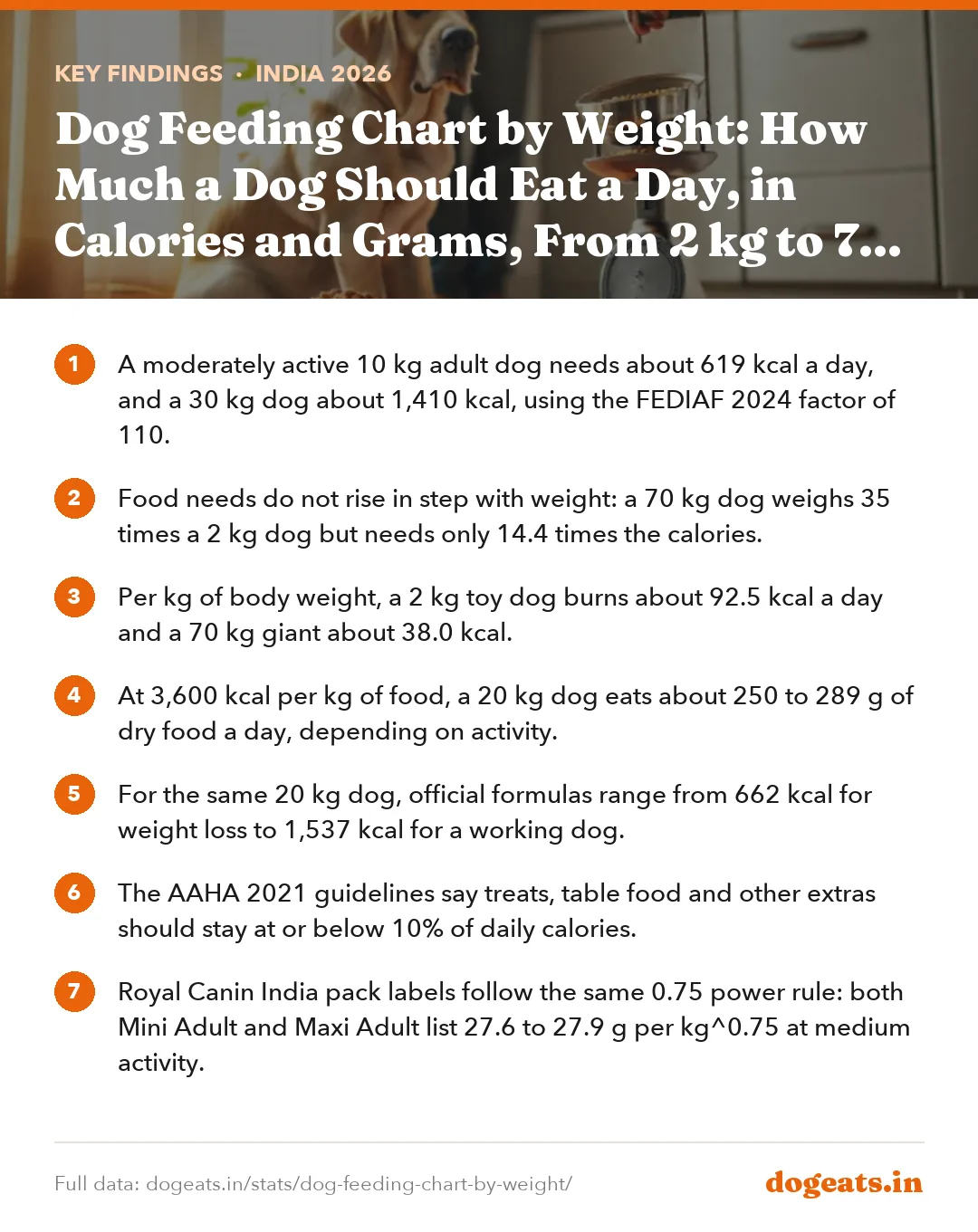 Key findings: Dog Feeding Chart by Weight: How Much a Dog Should Eat a Day, in Calories and Grams, From 2 kg to 70 kg