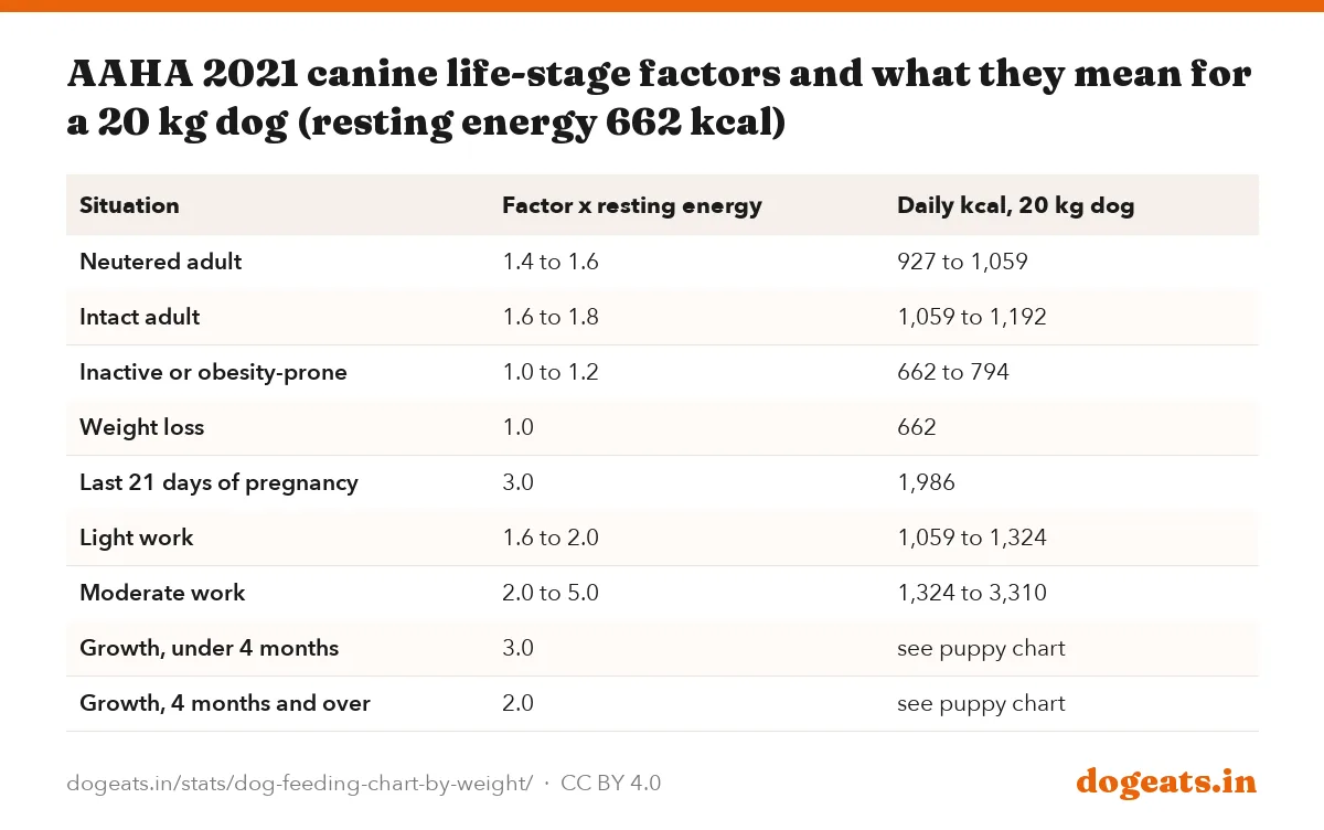 AAHA 2021 canine life-stage factors and what they mean for a 20 kg dog (resting energy 662 kcal)