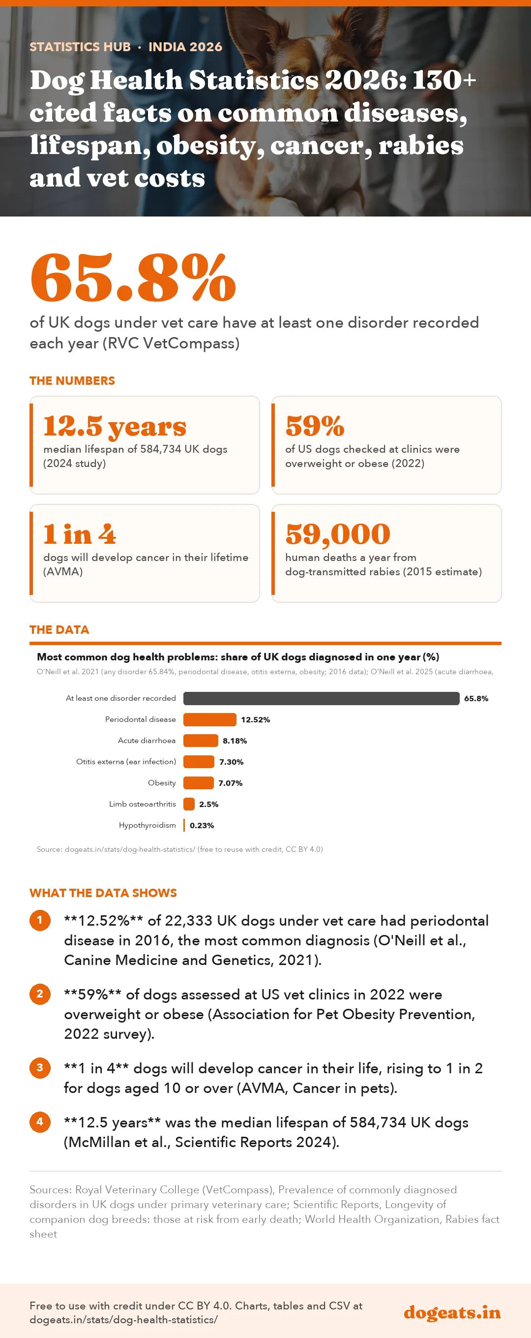 Infographic: Dog Health Statistics 2026: 130+ cited facts on common diseases, lifespan, obesity, cancer, rabies and vet costs