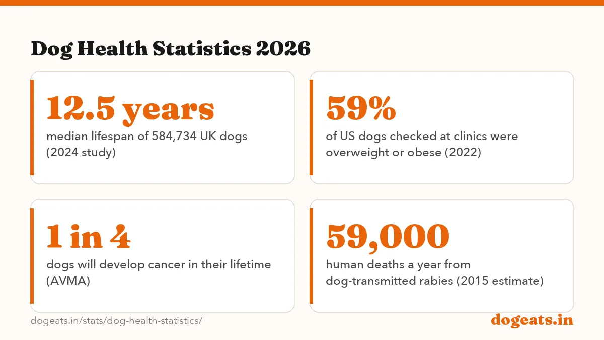 Dog Health Statistics 2026: 65.8% of UK dogs under vet care have at least one disorder recorded each year (RVC VetCompass)