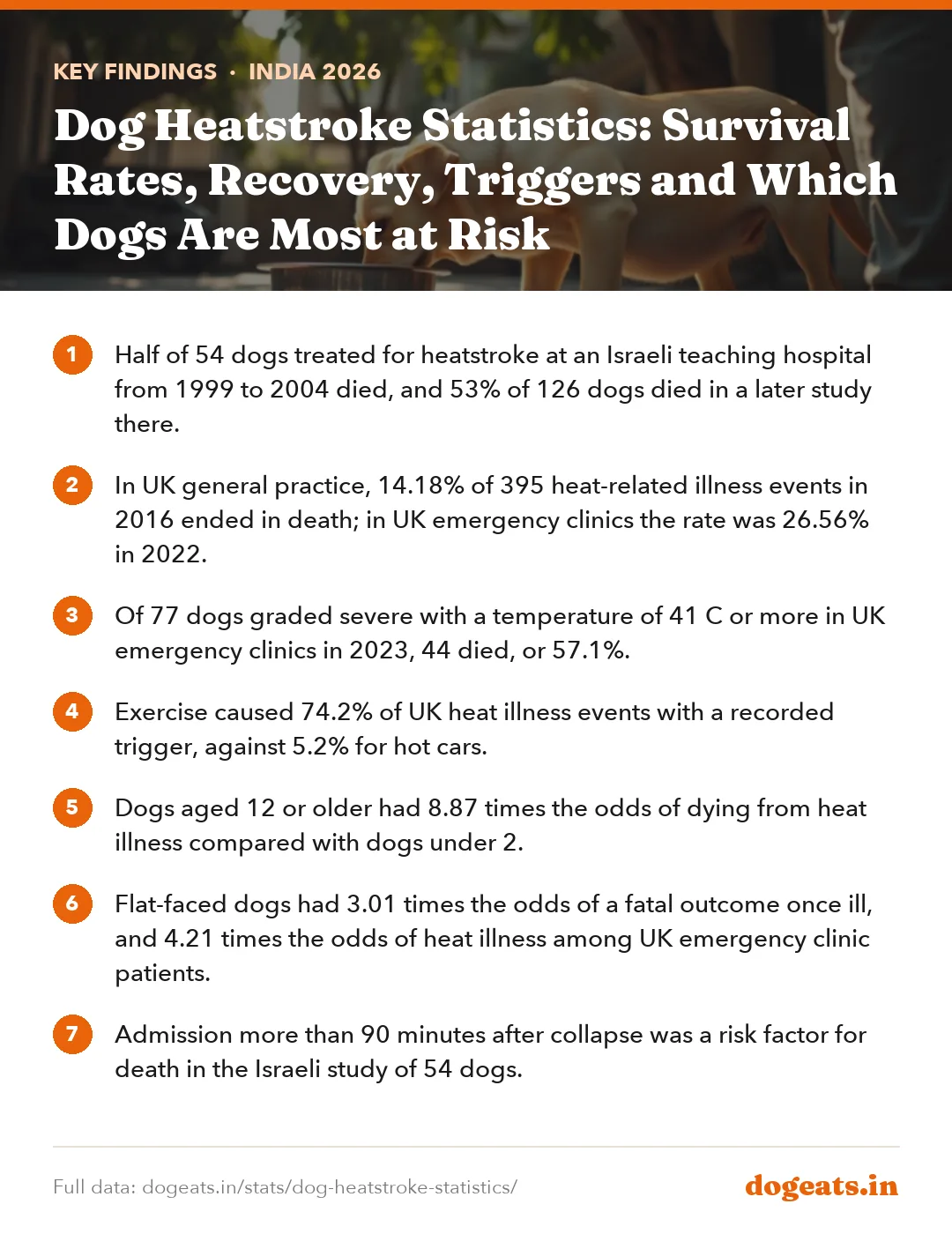 Key findings: Dog Heatstroke Statistics: Survival Rates, Recovery, Triggers and Which Dogs Are Most at Risk