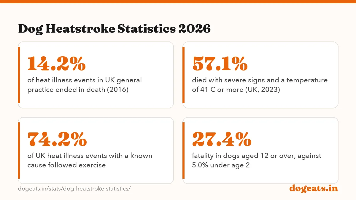 Dog Heatstroke Statistics 2026: 50% of 54 dogs with heatstroke died at an Israeli teaching hospital, 1999 to 2004