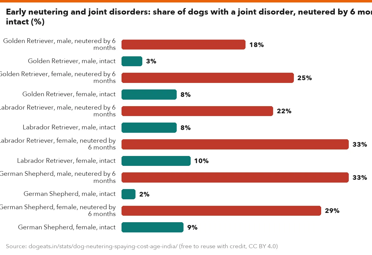 Early neutering and joint disorders: share of dogs with a joint disorder, neutered by 6 months vs intact (%)