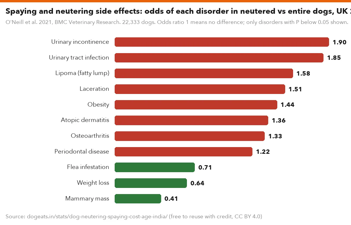 Spaying and neutering side effects: odds of each disorder in neutered vs entire dogs, UK 2016