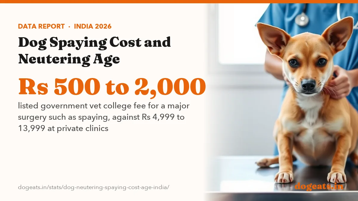 Rs 500 to 2,000 listed government vet college fee for a major surgery such as spaying, against Rs 4,999 to 13,999 at private clinics