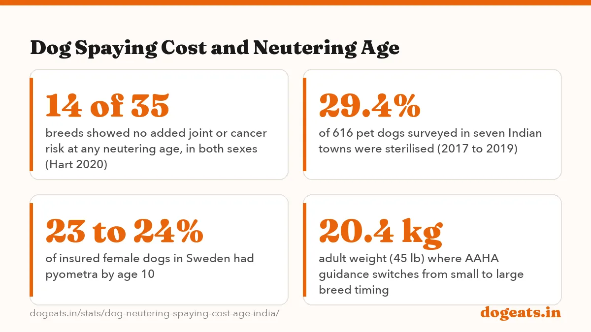 Dog Spaying Cost and Neutering Age: Rs 500 to 2,000 listed government vet college fee for a major surgery such as spaying,