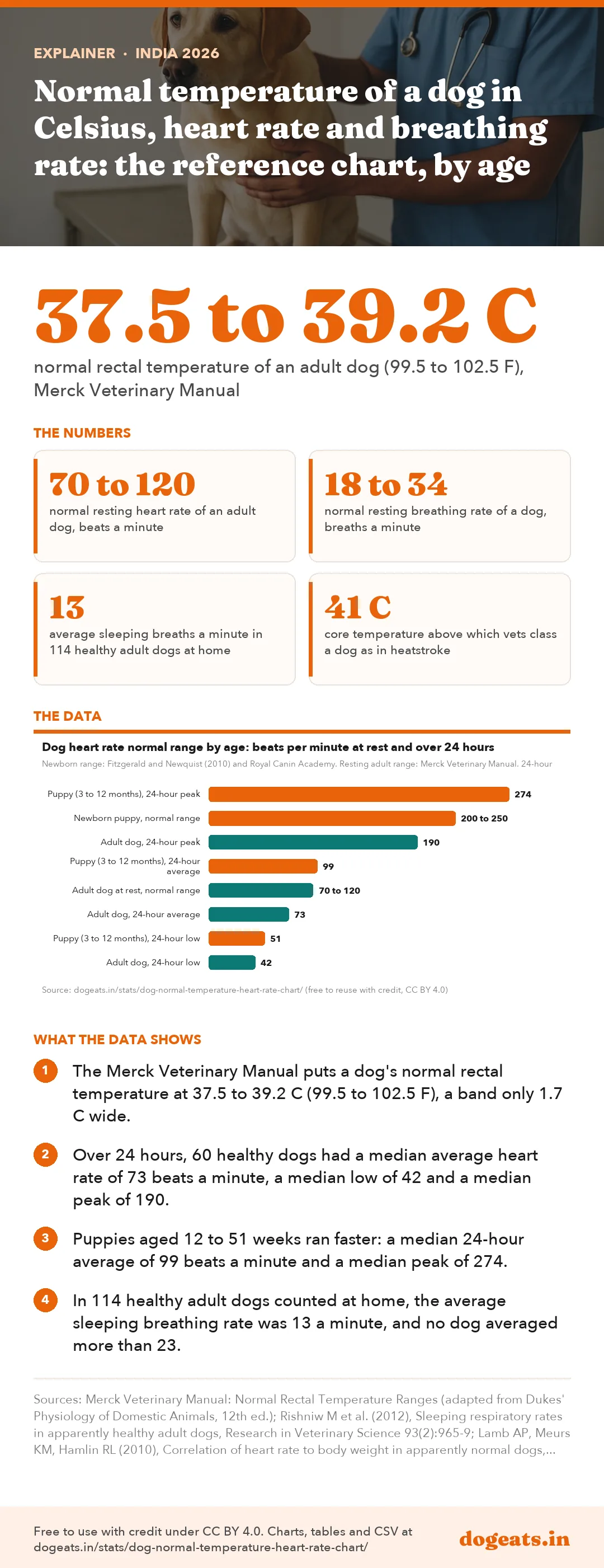 Infographic: Normal temperature of a dog in Celsius, heart rate and breathing rate: the reference chart, by age