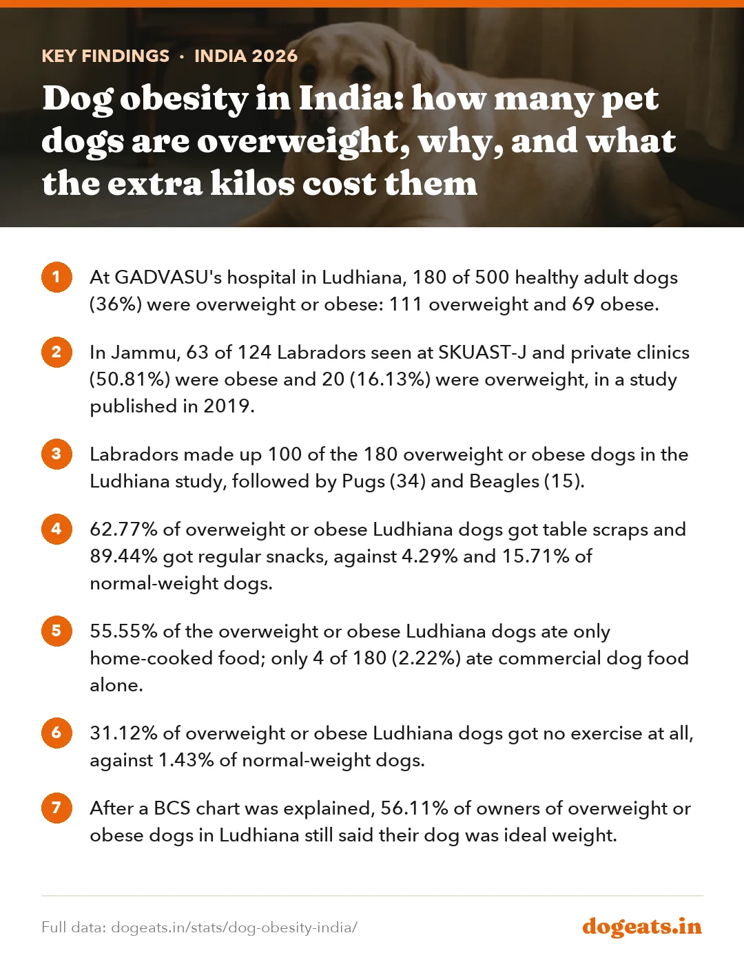 Key findings: Dog obesity in India: how many pet dogs are overweight, why, and what the extra kilos cost them