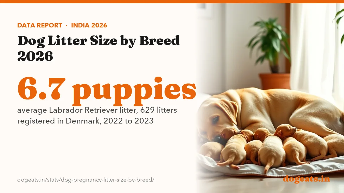 6.7 puppies average Labrador Retriever litter, 629 litters registered in Denmark, 2022 to 2023
