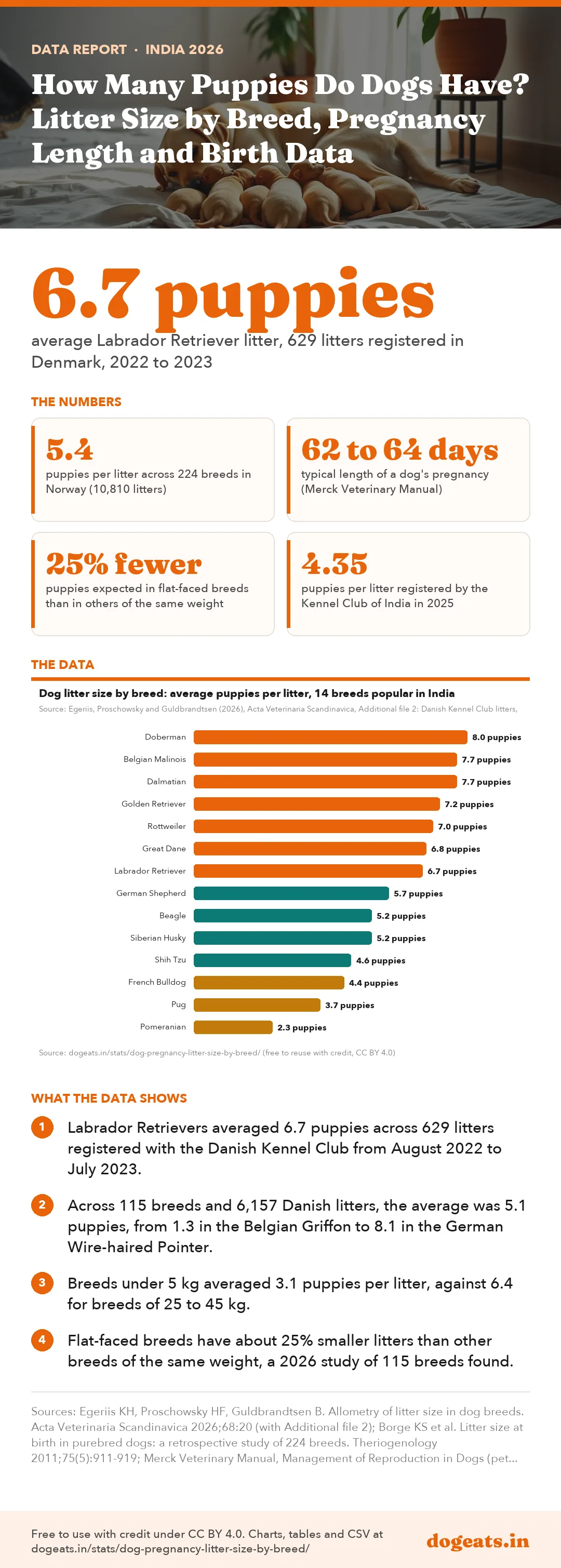 Infographic: How Many Puppies Do Dogs Have? Litter Size by Breed, Pregnancy Length and Birth Data